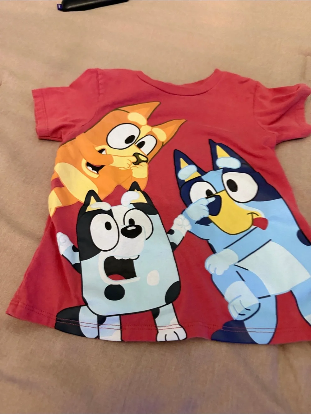 Multi-Color Kids Graphic Tee Bundle